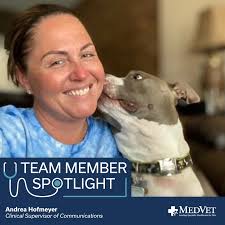 Andrea Hofmeyer's Instagram, Twitter & Facebook