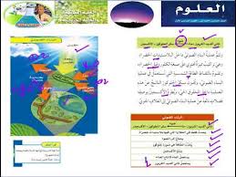 Ù…Ø¹Ø§Ø¯Ù„Ø© Ø§Ù„Ø¨Ù†Ø§Ø¡ Ø§Ù„Ø¶ÙˆØ¦ÙŠ Ù„Ù„ØµÙ Ø§Ù„Ø³Ø§Ø¯Ø³