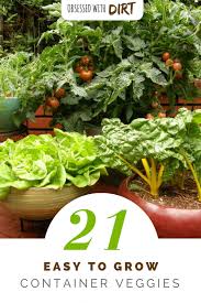 Maybe you would like to learn more about one of these? 21 Best Container Gardening Vegetables And Pot Friendly Fruits