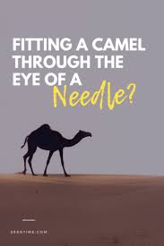 It is easier for a camel to go through the eye of the needle, than for a rich man to enter the kingdom of god, speaks of the needle gate in the. Pin On Evergreen Single Pins