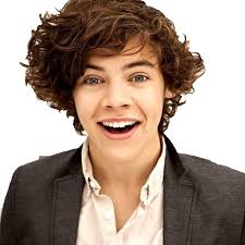 Harry Edward Styles PNG Free Image
