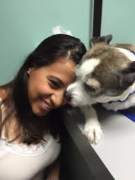 Pet services in the community offered by a vet tech student