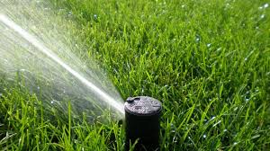 If lawn watering isn't possible in the early morning, wait until the late afternoon, such as around 3 or 4 p.m. Water Restrictions Your Lawn Drought Tolerant Grass What Does It All Mean Park Avenue Turf