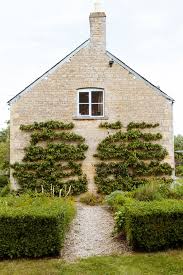Med Billeder Espalier Haver Dromme