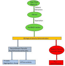 Bring to a simmer over low heat. Molecules August 2017 Browse Articles