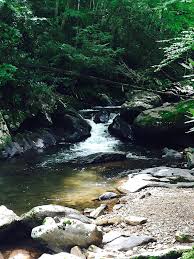 See reviews and photos of antique stores in abingdon, virginia on tripadvisor. Abingdon Virginia Find Art Culture Nature On This Weekend Getaway In The Mountains U S Travel 30seconds Travel