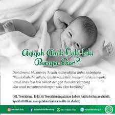 Kadar aqiqah bagi seorang anak lelaki adalah dua ekor kambing. Harga Paket Aqiqah Untuk Anak Laki Laki Hukum Aqiqah Anak Laki Laki