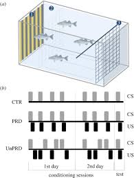 We write high quality term papers, sample essays, research papers, dissertations, thesis papers, assignments, book reviews, speeches, book reports, custom web content and business papers. Cognitive Appraisal In Fish Stressor Predictability Modulates The Physiological And Neurobehavioural Stress Response In Sea Bass Proceedings Of The Royal Society B Biological Sciences