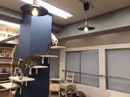 The site owner hides the web page description. çŒ«å–«èŒ¶ ç©ºé™¸å®¶ æ± è¢‹è¥¿å£åº— åœ°å›³ å†™çœŸ æ± è¢‹ ãƒ‰ãƒƒã‚°ã‚«ãƒ•ã‚§ ãã‚‹ãªã³