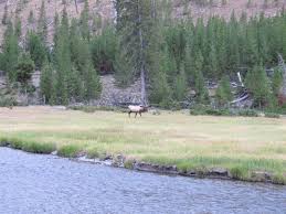 We did not find results for: Madison Campground In Yellowstone National Park