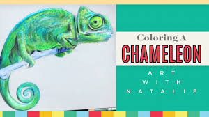 Chameleon coloring page for preschoolers. Chameleon Coloring Pages For Kids