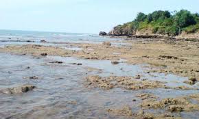 #ramadandicaruban _ konten carubanid untuk para sanak saudara netizen caruban yang ada di perantauan, agar terobati kangennya. 20 Tempat Wisata Di Rembang Terbaru Paling Hits Dikunjungi Java Travel