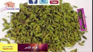 فوائد الشمر الشمر للتخسيس فوائد الشمر للتنحيف فوائد الشمر للجسم فوائد الشمر للنفاس green beans vegetables beans