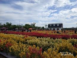 Kampung korea kadu engang pandeglang wisata pandeglang. Taman Bunga Luar Negeri No Ini Di Aceh
