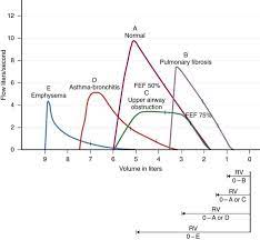 Free respiratory ceus crce credit courses Pin On Med Resp