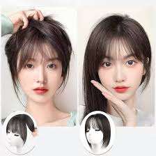 Parrucche da Donna Bangs Wig Piece Full Real Human Hair Patch Fluffy  Aumenta Il Volume dei Capelli Fluffy Cover Capelli Grigi Parrucca di  Capelli (Color : 16-(8-10) 22CM-Brown) : Amazon.it: Bellezza