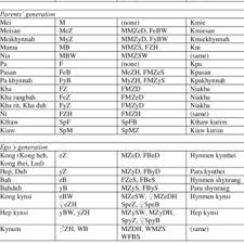 Pdf Kinship Terminology And Marriage Rules The Khasi Of North East India