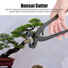 Bonsai and sogetsu ikebana floral arranging share much in common, having originated in. Bonsai Tools Bonsai Ikebana Koryu Shears Scissors 165mm Wakajishi Japan Home Garden
