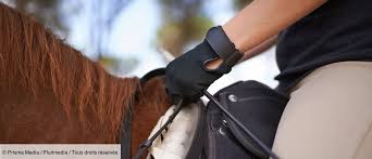 Ministère des affaires étrangères et du développement international. L Amour Des Chevaux Des Chevaux Et Des Femmes Tele Loisirs