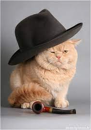 Pin On Explosions In Cuteness