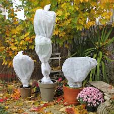 Comment protéger un bougainvillier en hiver ? Hivernage Proteger Vos Plantes En Hiver Gamm Vert
