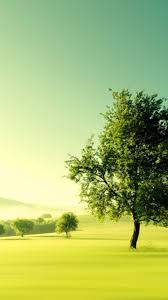 Nature Wallpapers For Android Group 45 Find best latest 3d wallpapers hd nature in hd for download. nature wallpapers for android group 45