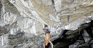 I think very often satire is used as a vehicle for complicated truths that are made easier to swallow by virtue of the delightfully outrageous way they are presented. Schwierigste Route Der Welt Schweizer Alpen Club Sac