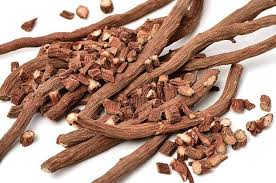 Image result for Sabicea orientalis