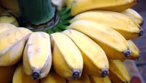 Di jakarta dan sekitarnya, pisang goreng dengan gaya tradisional atau kampung selalu berhasil menyita perhatian. Jenis Jenis Pisang Yang Harus Kalian Tahu Titipku