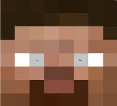Pin On Party Minecraft Party