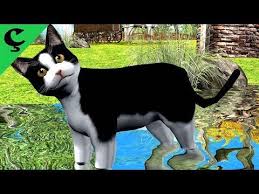Macja Le Te Lahet Kenge Per Femije Swimming Cat Song For Children By Studio Camarroket Youtube Kids Songs Swimming Cats Animation