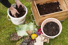 Wurmfarm Selber Bauen Diy Anleitung Fur Eigenen Wurmkompost Wurmkompost Wurmfarm Kompost