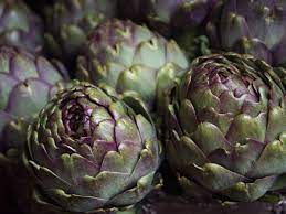 Versez de l'eau froide dans une grande casserole et. Tout Savoir Sur L Artichaut Violet De Provence Potager City