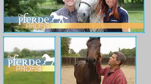 Unter dem prädikat „pferdeprofis korrigieren und desensibilisieren zwei bekannte trainer der reitsportszene sogenannte „problempferde und arbeiten am selbstbewusstsein der besitzer. Die Pferdeprofis Sendetermine Stream Juli August 2021 Netzwelt