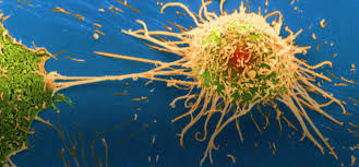 Image result for New research figures out how to handle treatment-safe malignant growth cells