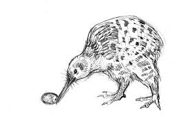 Kiwi Bird Lay Egg Coloring Pages Download Print Online Coloring Pages For Free Color Nimbus Egg Coloring Page Coloring Eggs Coloring Pages