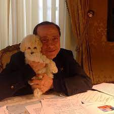 Il presidente berlusconi è in una delle sue frequenti visite. Silvio Berlusconi Bei Instagram Meine Villa Freundin Pudel Der Spiegel