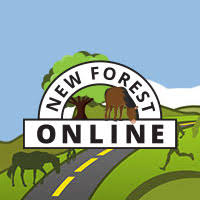 Not only do we serve up fresh, local dishes daily but we also have a drink for every fancy. Pubs And Restaurants In The New Forest National Park