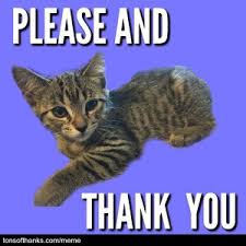 Thank you is not only a standard polite phrase used in everyday service or information interchange; 51 Nice Thank You Memes With Cats Tons Of Thanks
