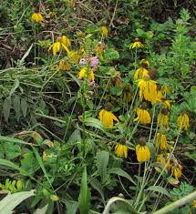 187 likes · 1 talking about this · 1 was here. Bleeding Heartland