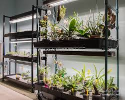 We did not find results for: Going Beyond Footcandles And Lux New Ways To Think About Indoor Orchid Growing With Leds