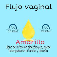 Pin En Aparato Reproductor