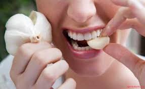 Cara menanam bawang putih untuk pemula. Manfaat Bawang Putih Bagi Kesehatan Dan Pengawet Makanan Agroindustri