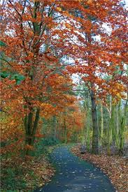 English Countryside Pictures Of England Countryside Pictures Pictures Of England Beauty Scenery