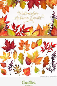 Free for commercial use no attribution required high quality images. Watercolor Autumn Leaves Clipart Watercolor Autumn Leaves Fall Drawings Leaf Illustration