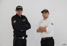 When you call absolute pest management, you are not only hiring an austin pest service company to help with your current issues. Rhino Pest Control 11017 S Main St Los Angeles Ca 90061 Yp Com