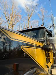 Image result for Yellow 1988 Fleet