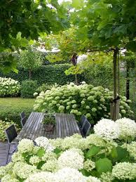 Hortensia S Blijven Mooi Small Garden Design Cottage Garden Garden Design