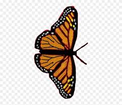 Unique aesthetic butterfly stickers featuring millions of original designs created and sold by independent artists. Butterfly Vsco Monarch Edits Pretty Remix Aesthetic Iphone Xs Max Wildflower Case Hd Png Download 375x644 6786360 Pngfind