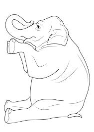 45 Disegni Di Elefanti Da Colorare Disegno Di Elefante Immagini Di Elefanti Elefanti